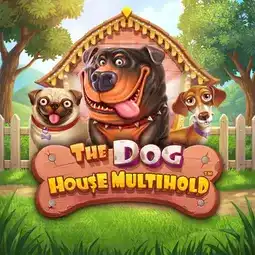 The Dog House Multihold game at Sun Vegas Casino for United Kingdom players The Dog House Multihold game at Sun Vegas Casino for United Kingdom players